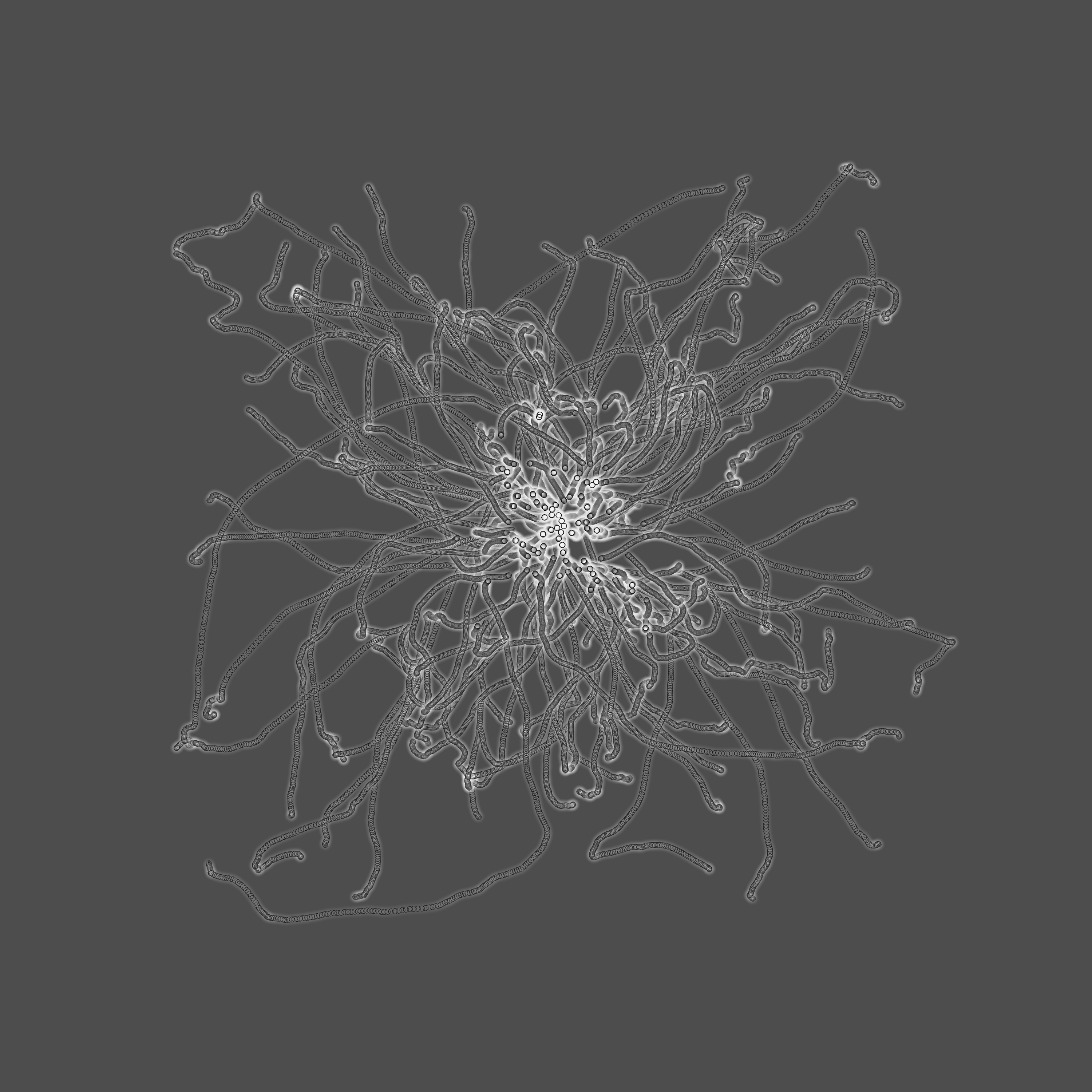 grey fungi wisdom #35 static token preview