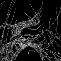 Paths of life project preview