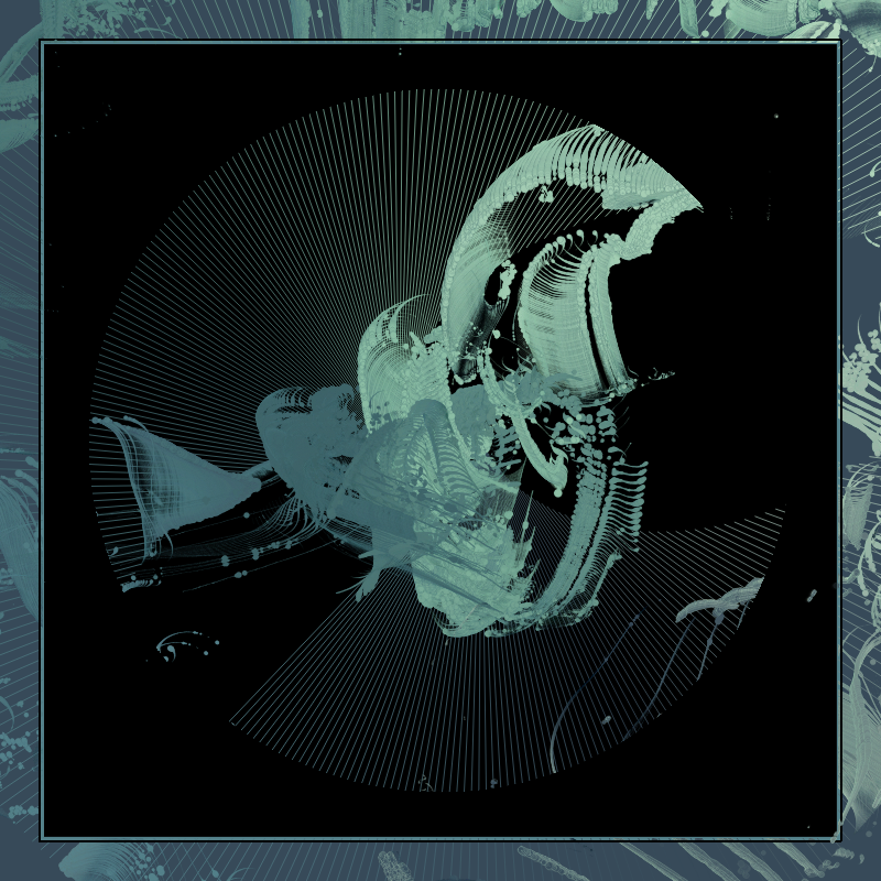 NFT #256 static NFT preview