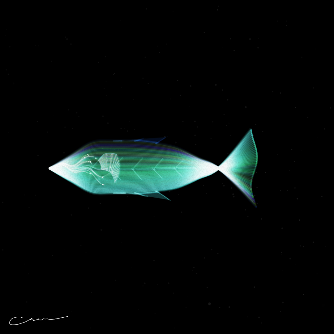SoulFish #201 static token preview