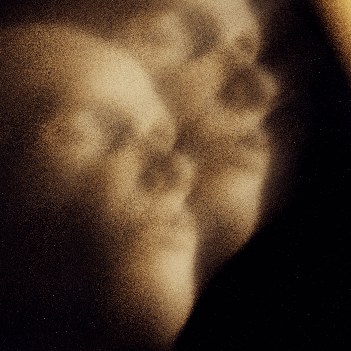 Emotional Shell #24 static NFT preview