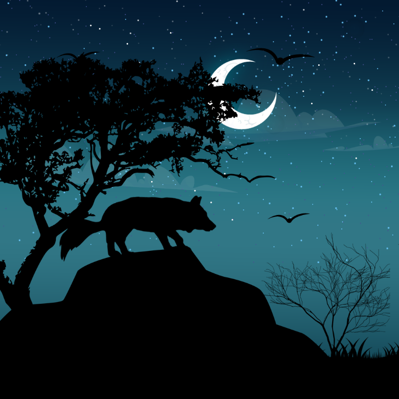 We Care...Fox #9 static token preview
