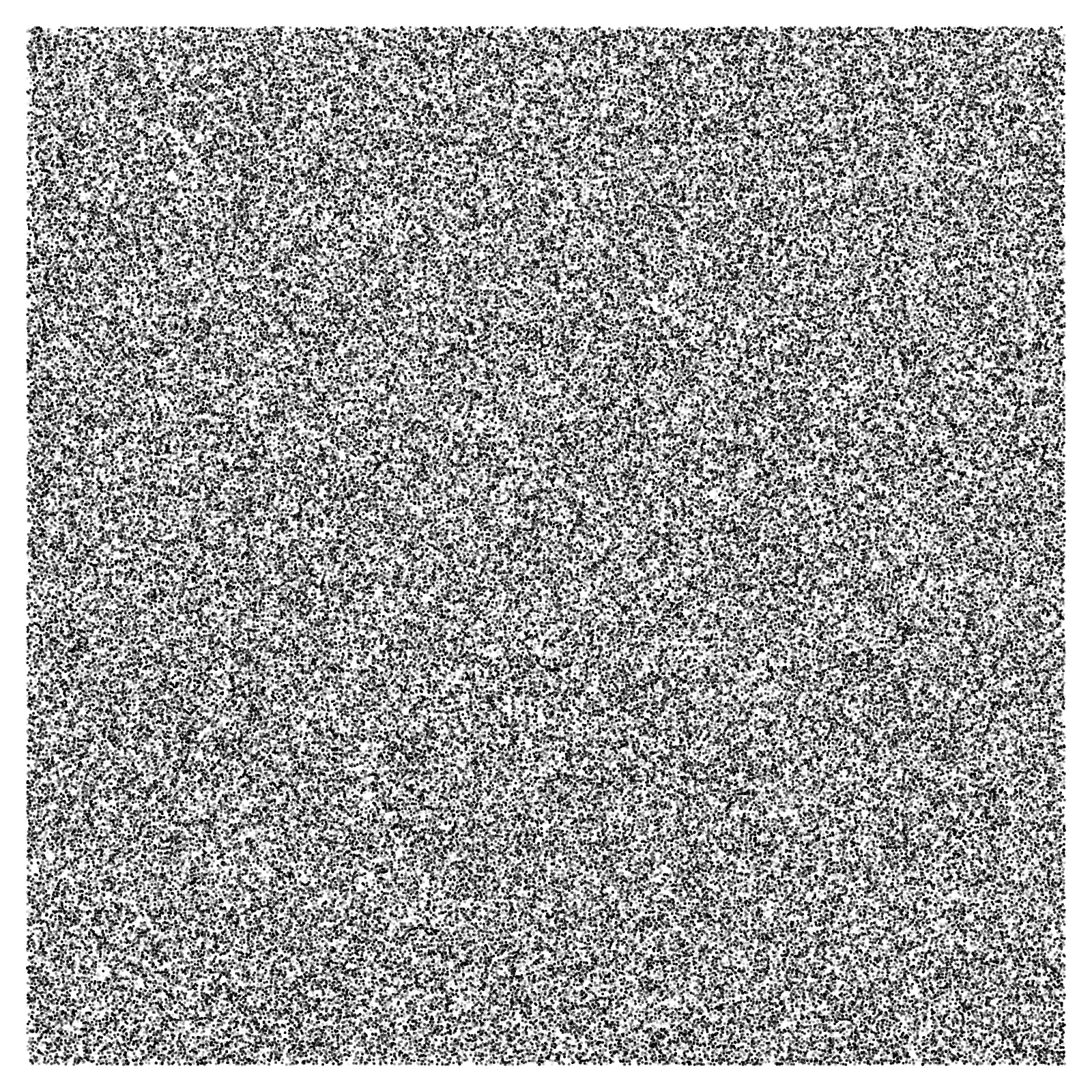 Noise #16 static token preview
