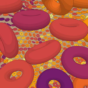 Donuts project preview