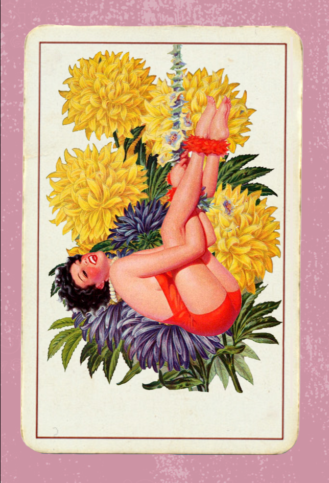 Paper Pinups #35 static NFT preview