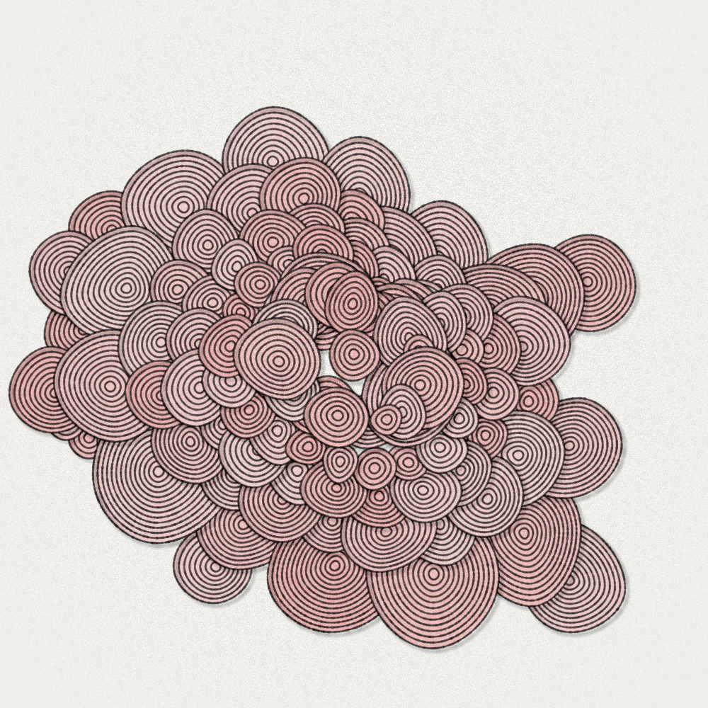 Concentric Circles #5 static NFT preview