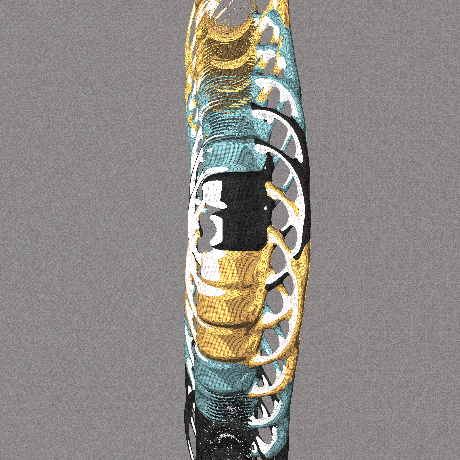 Long, Thin, Tubular Structure #203 static NFT preview