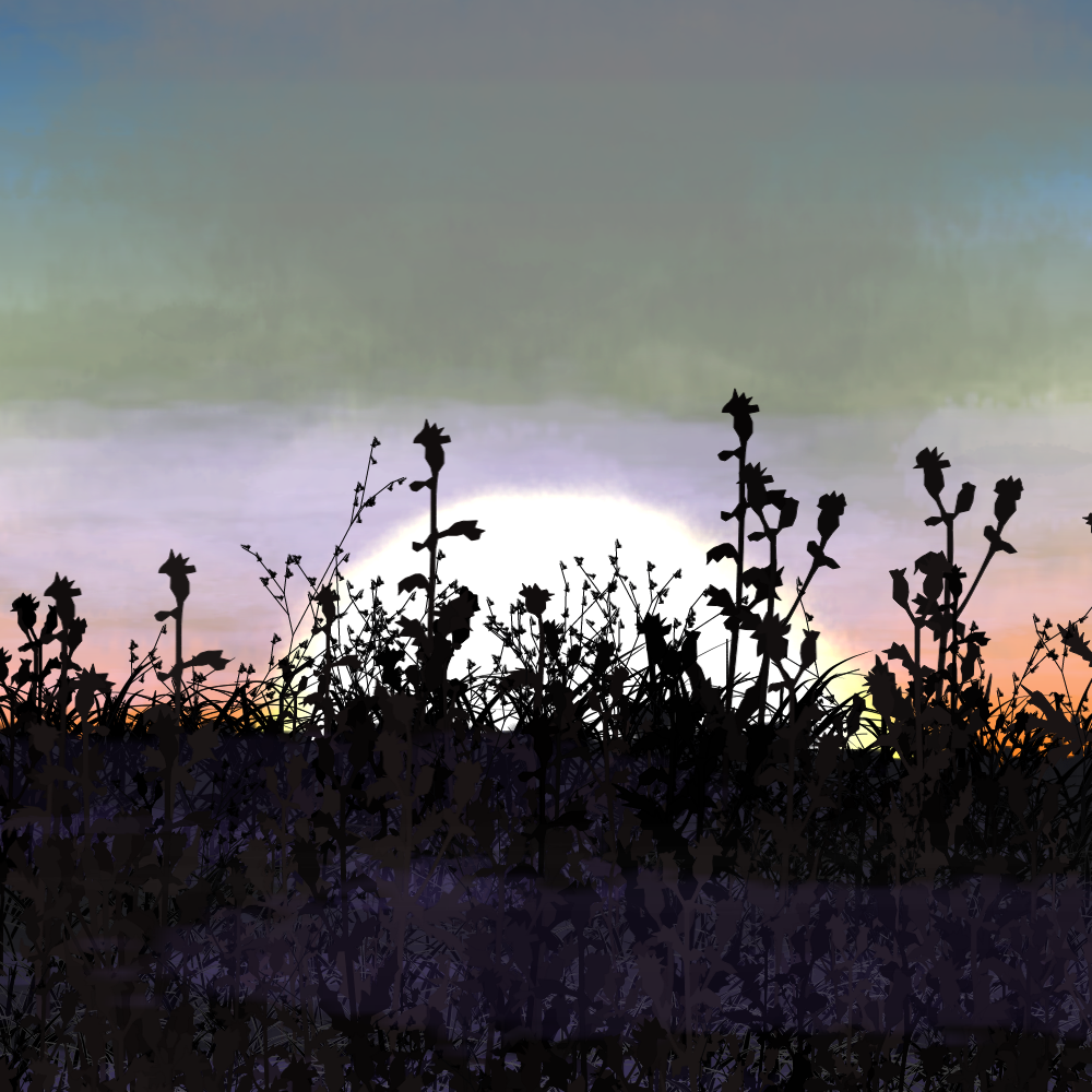 Walk in the field #62 static NFT preview