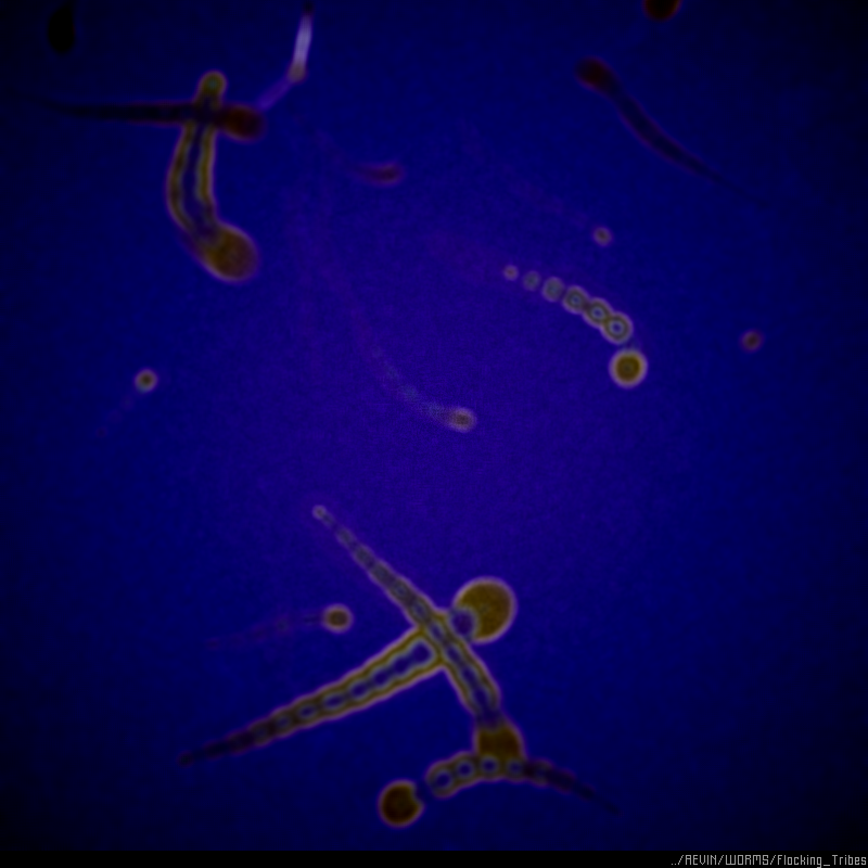 WORMS / Flocking Tribes #67 static NFT preview