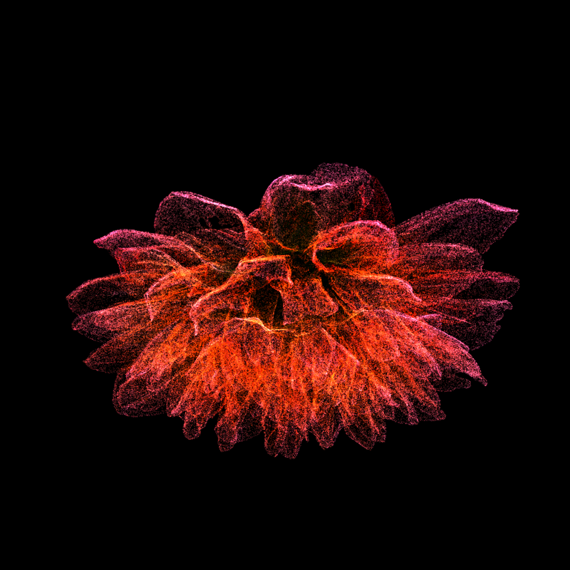 Dahlia Pinnata 30 #196 static NFT preview
