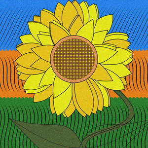 My sunflower project preview