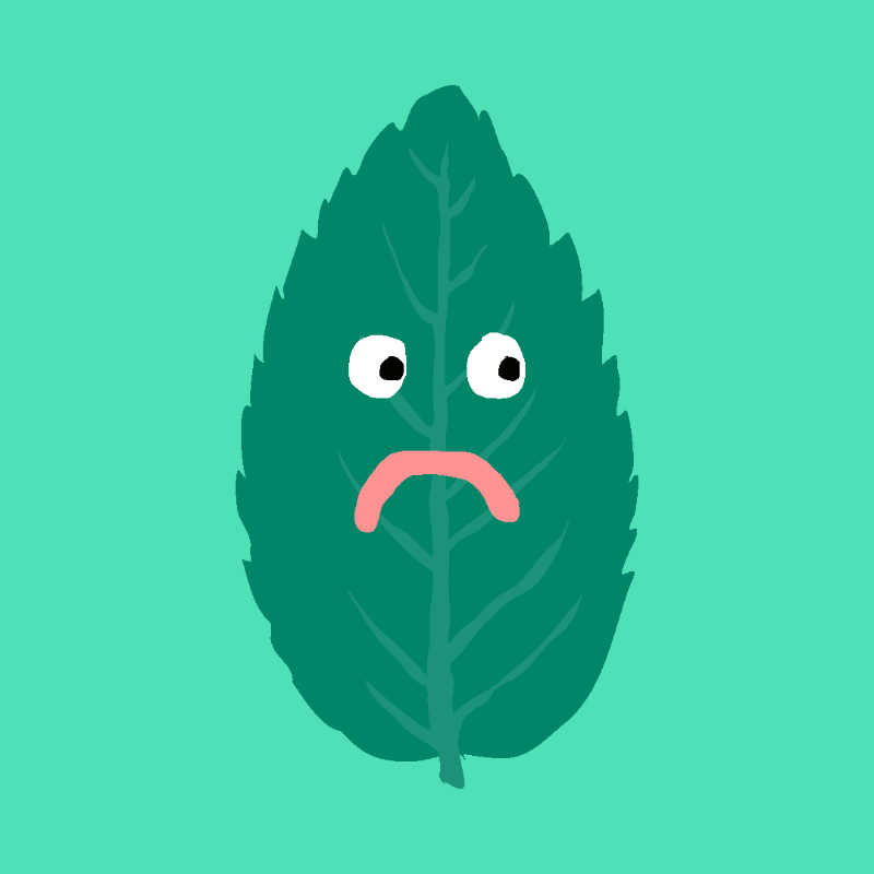 FREE MINT ! #21 static token preview