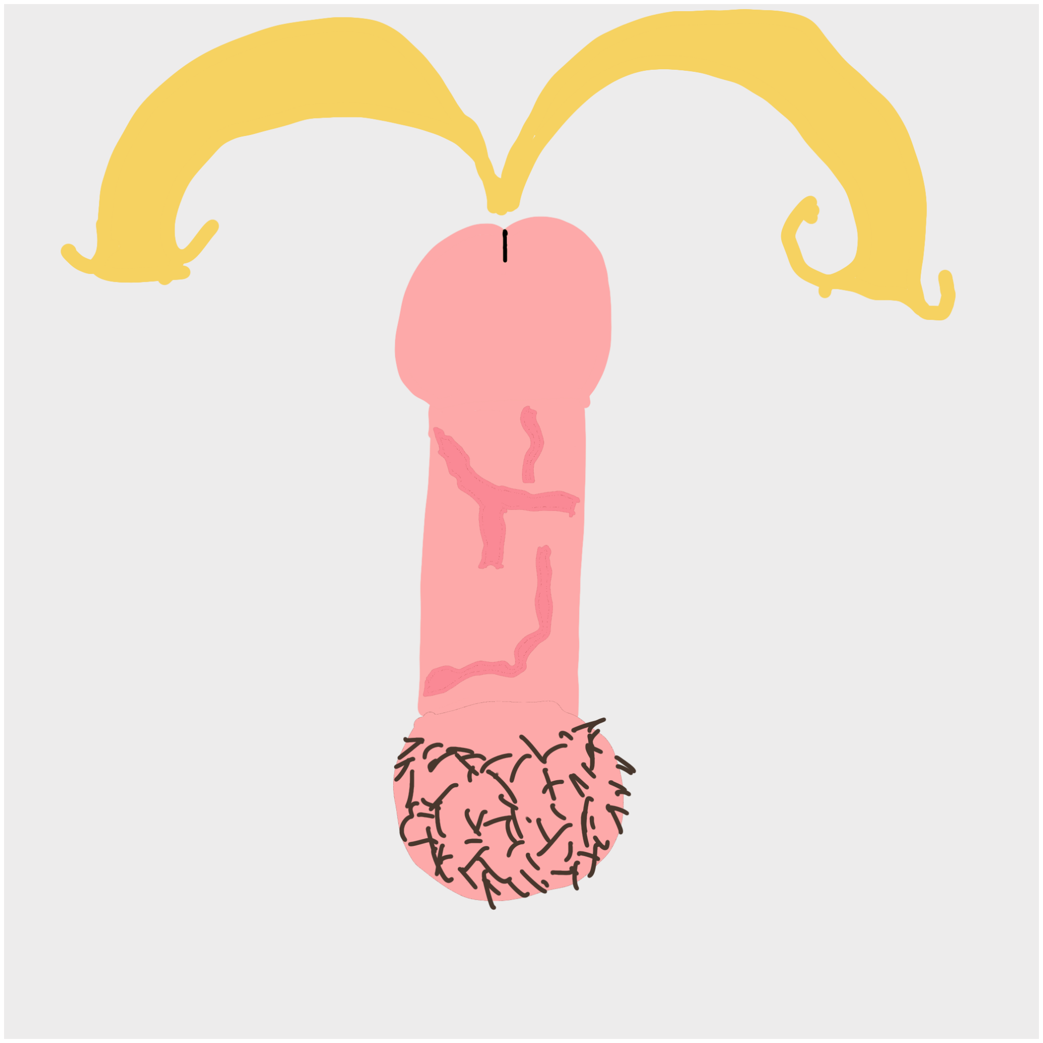 Dickgenerative Art #55 static token preview