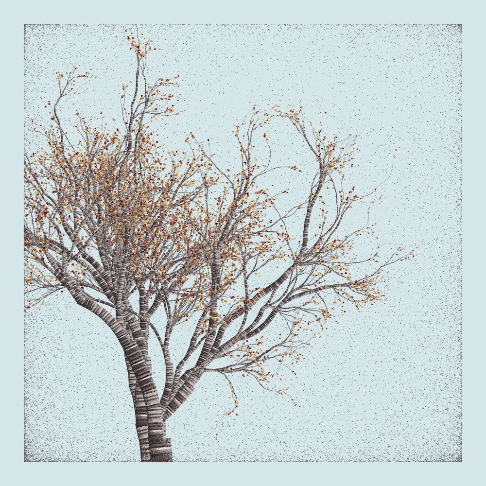 Bougainvillea #28 static NFT preview