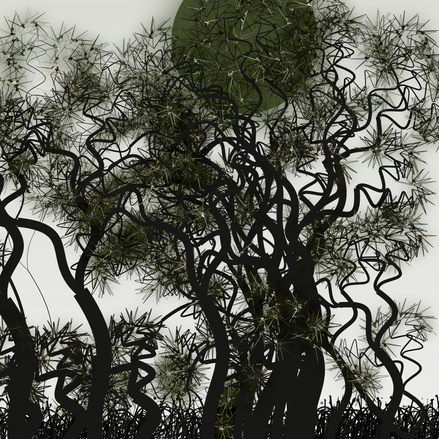 Wildwood Forest #339 static NFT preview
