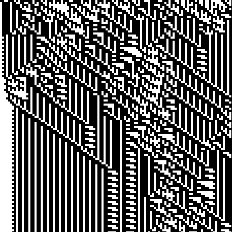 Colored Elementary Cellular Automaton #251 static NFT preview