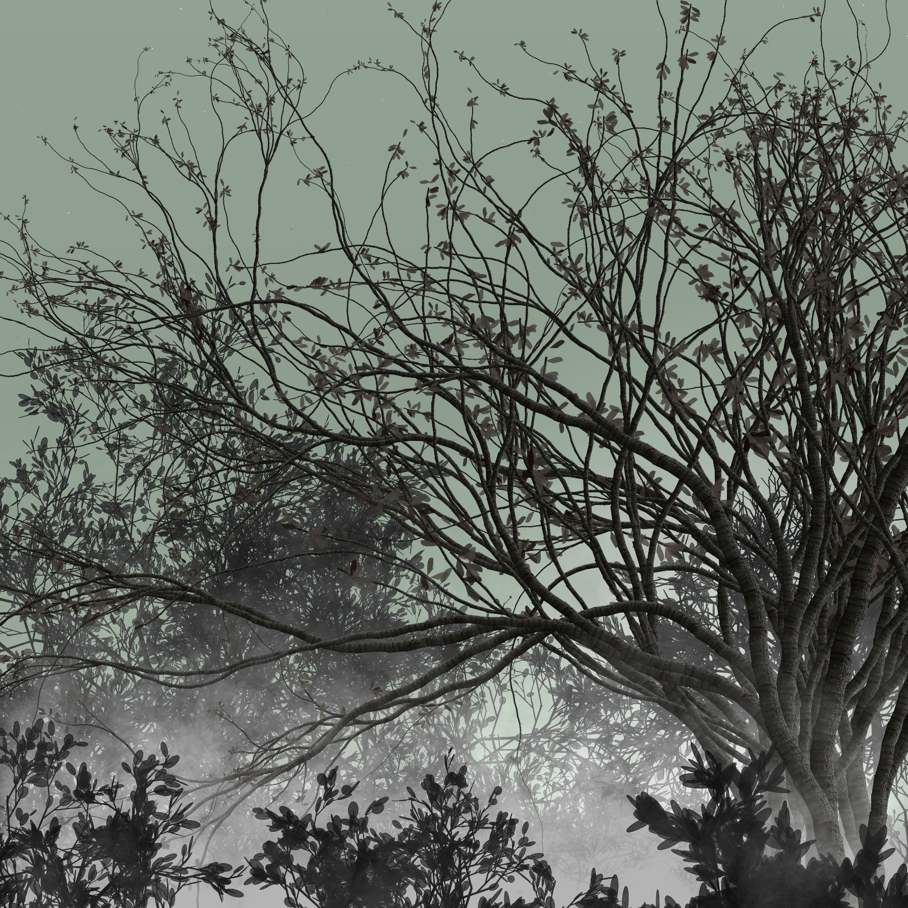 Morning Mist #167 static token preview