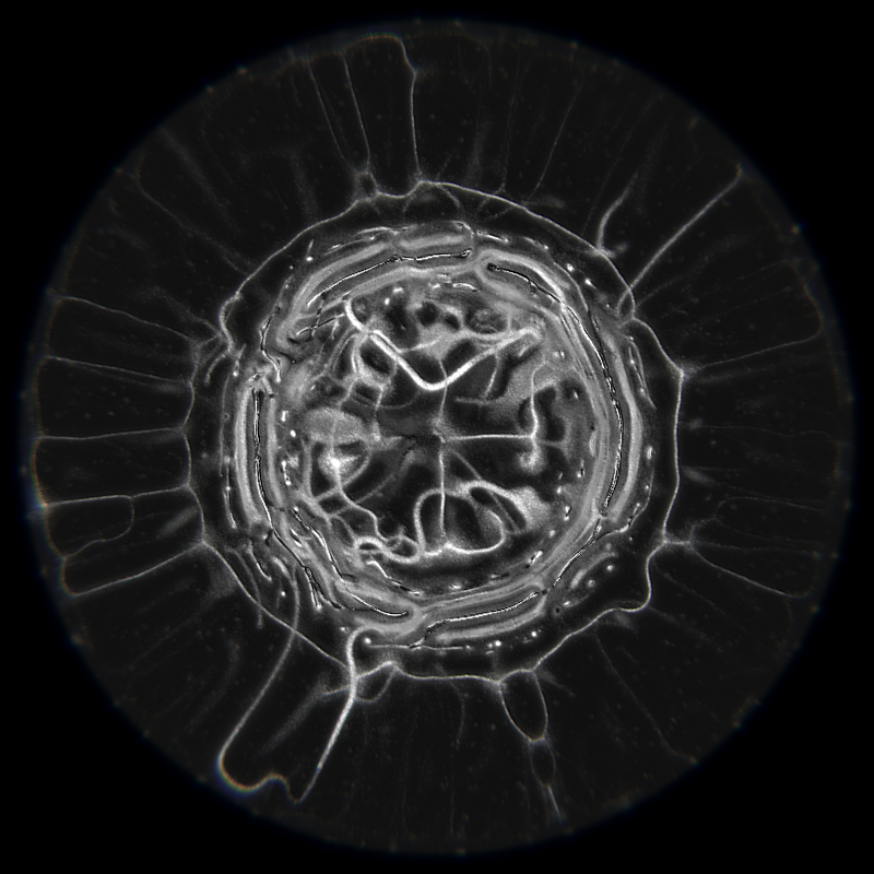 Ethereal Microcosm #134 static NFT preview