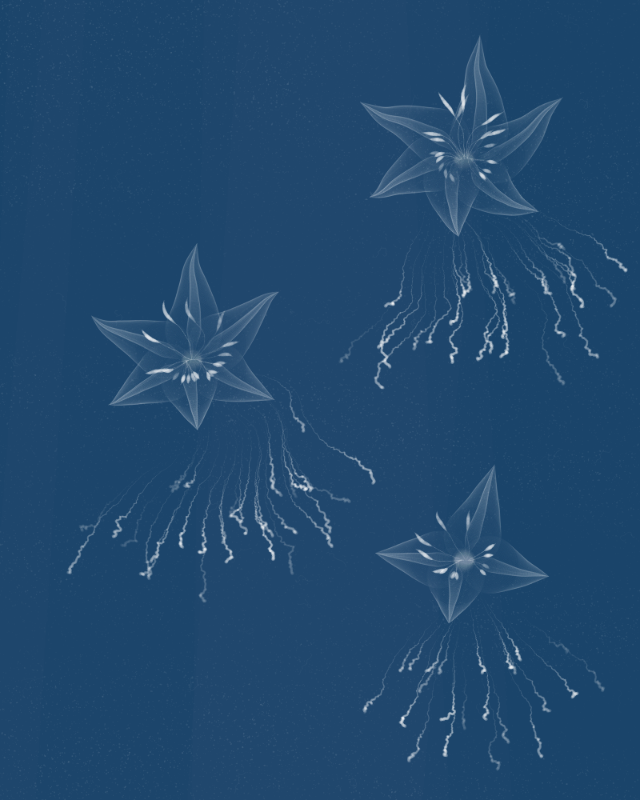 Cyanotypes #250 static token preview