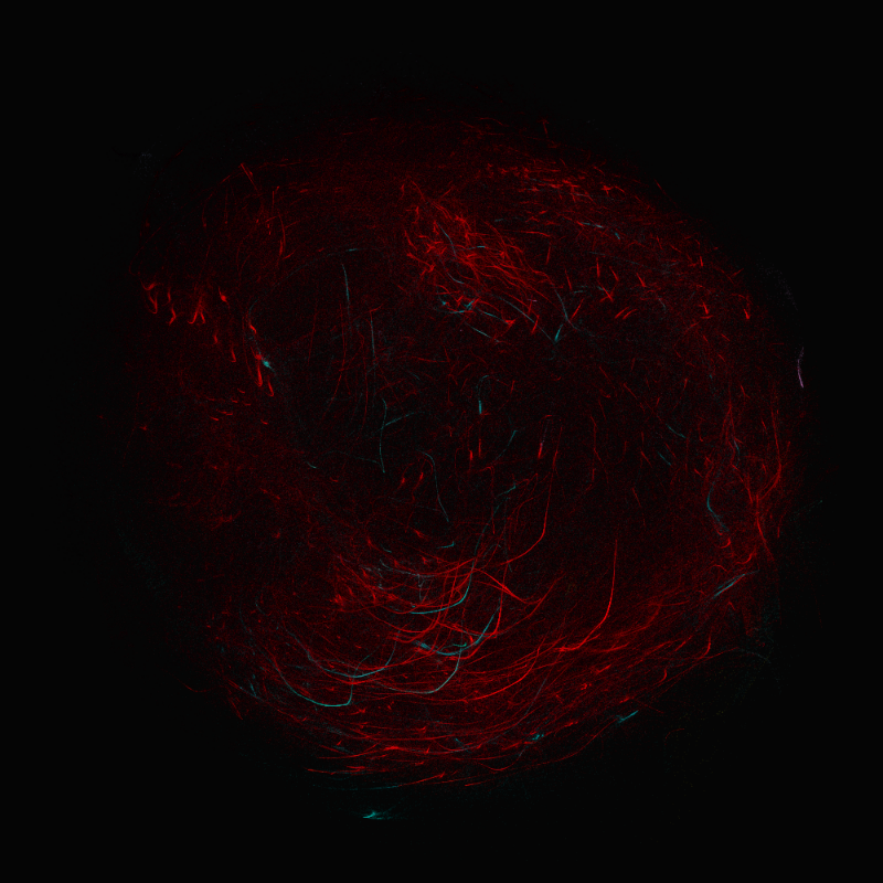 balls in vector fields #69 static token preview