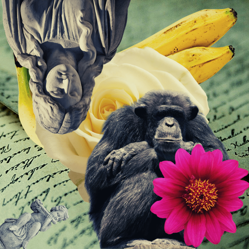 Banana flower #51 static NFT preview