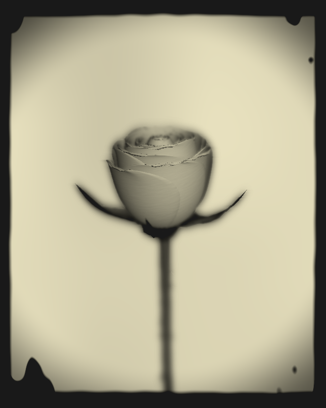 Rose 1851 #71 static NFT preview