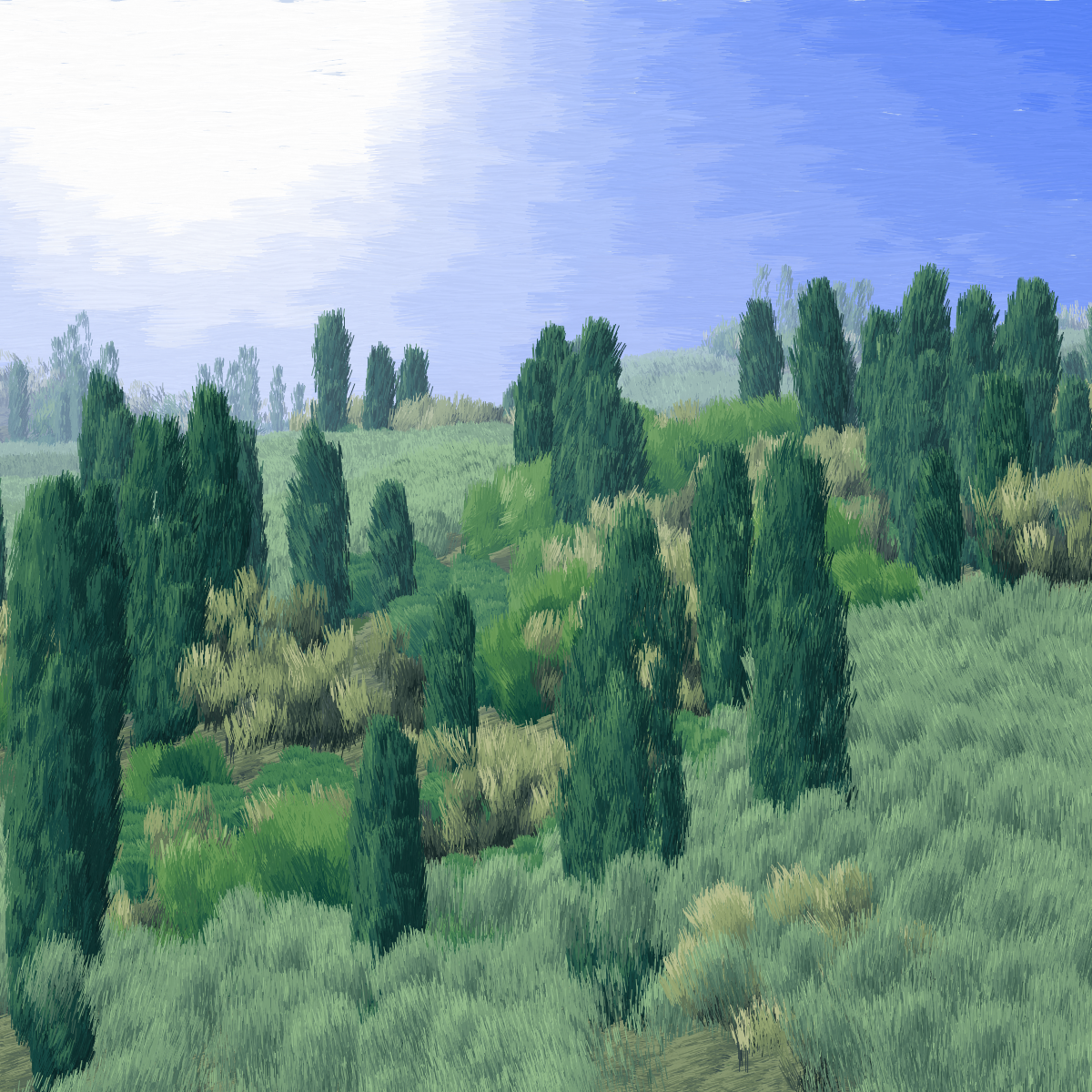 Provence #351 static token preview
