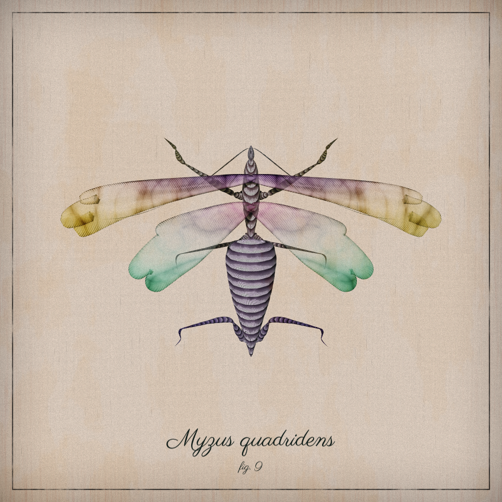 ProcGen Entomology #488 static NFT preview