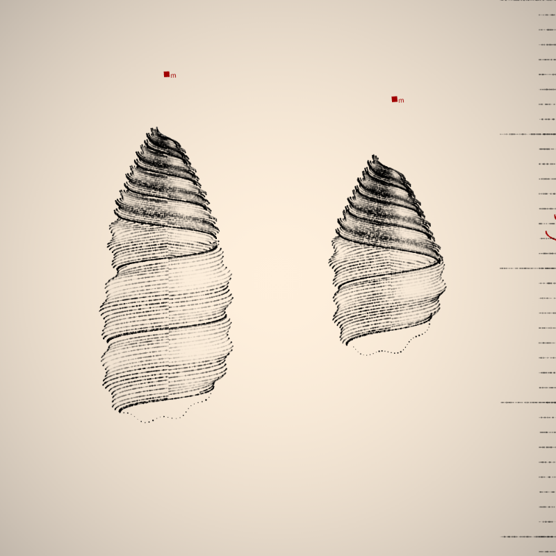 Two Specimen #324 static token preview