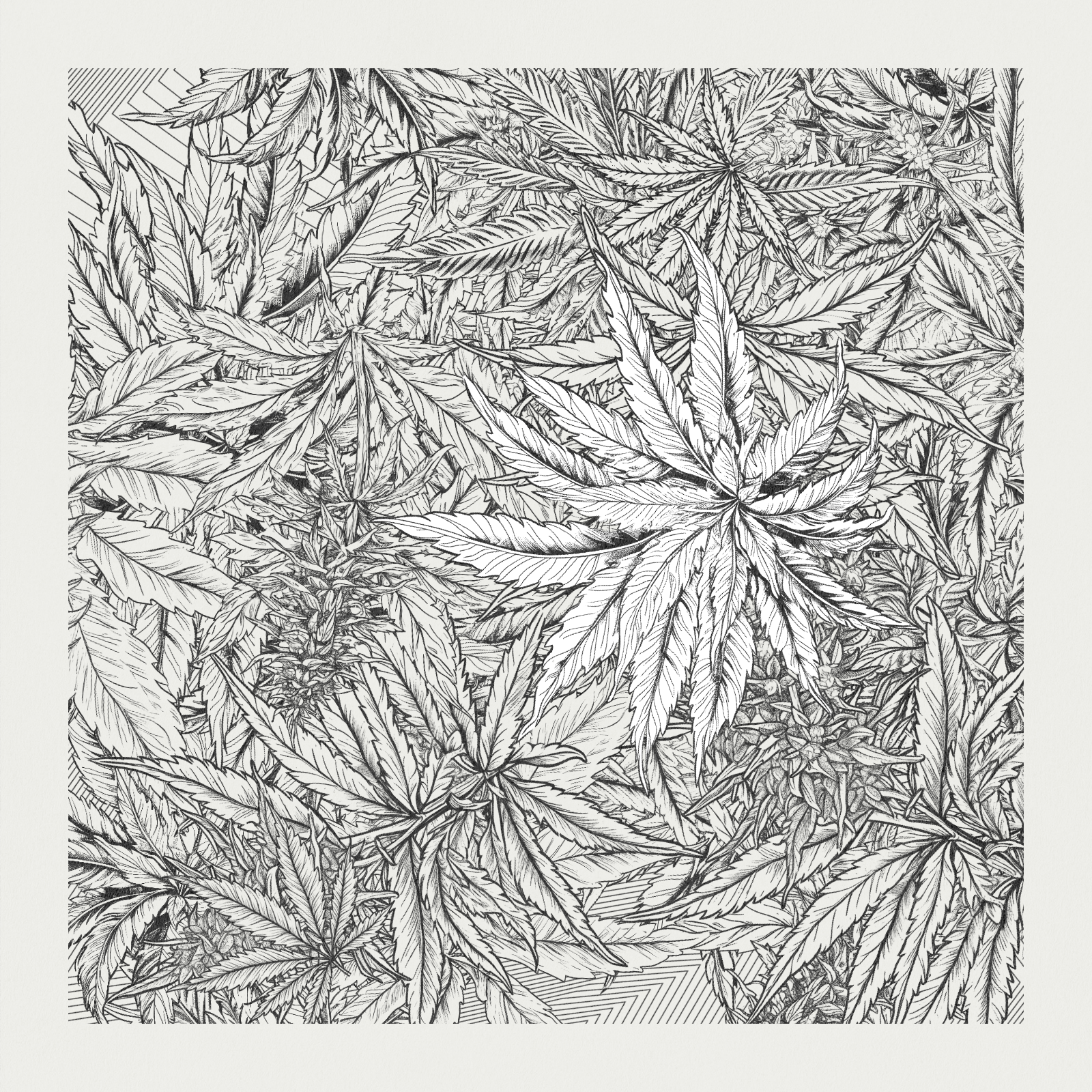 zancannabis #173 static NFT preview