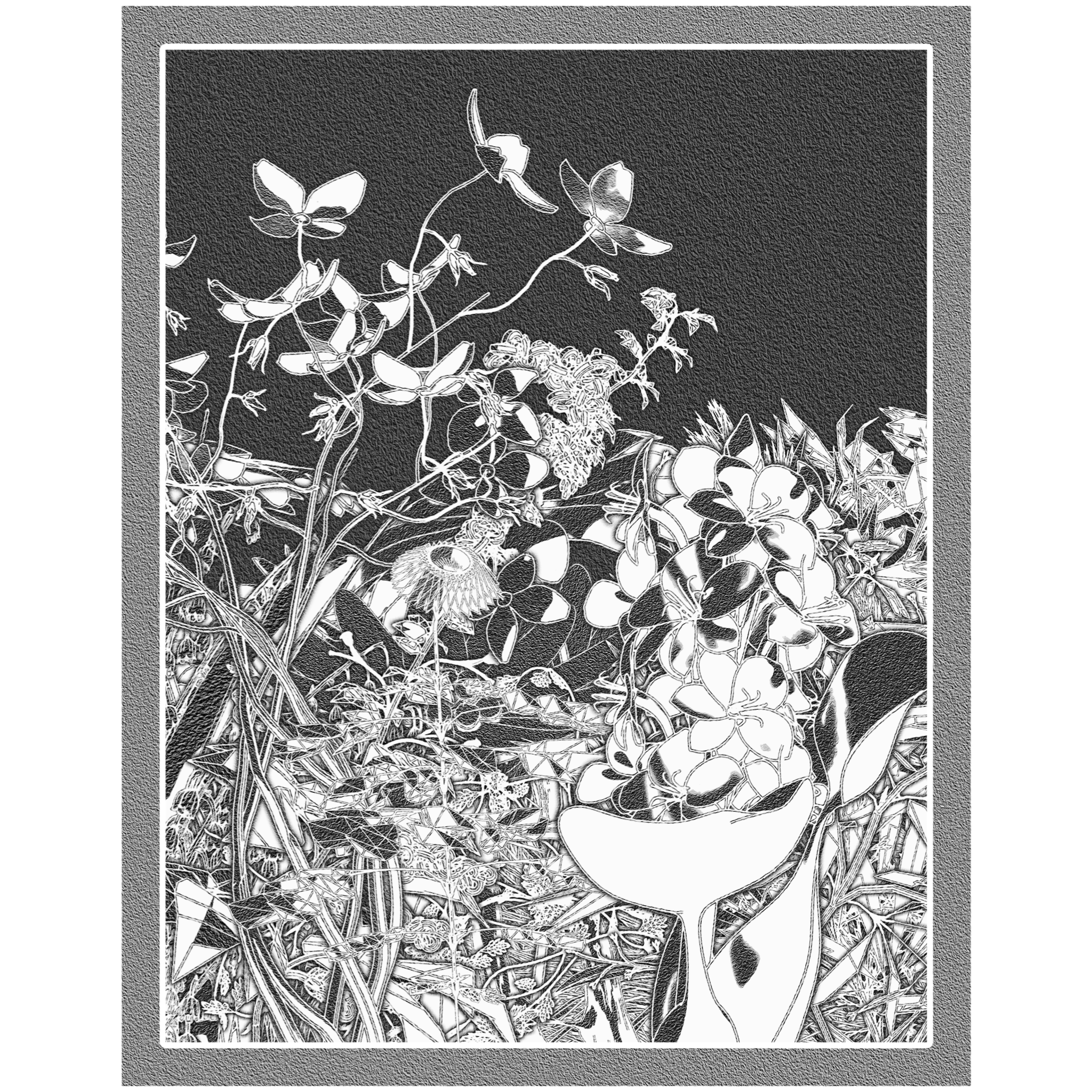 Flower View #218 static NFT preview