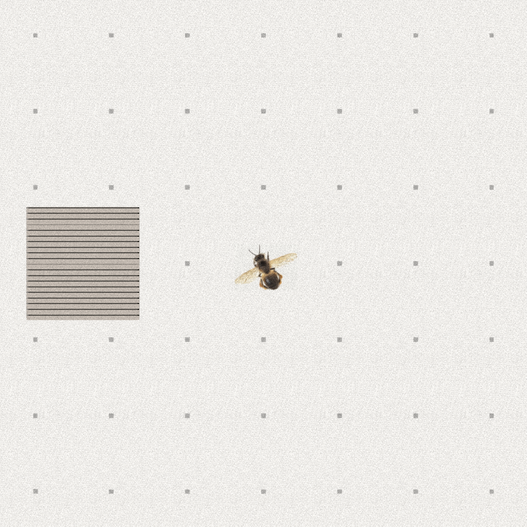 Bee #3 static token preview