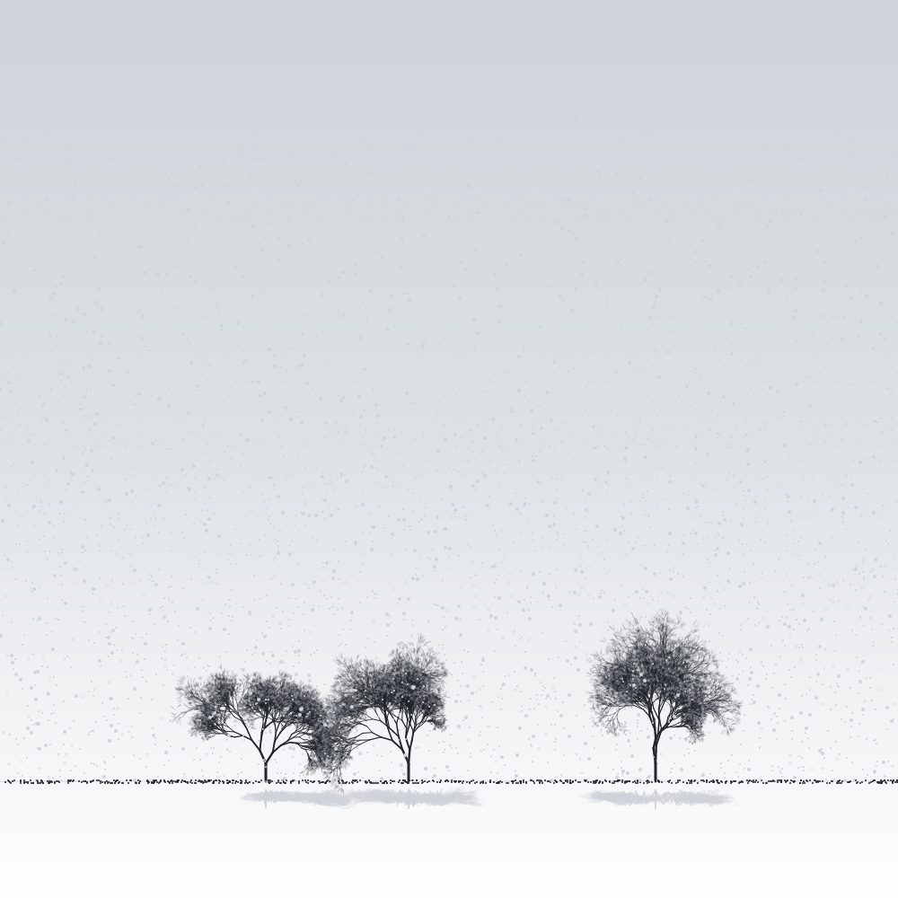 Sakuras in the snow #12 static token preview