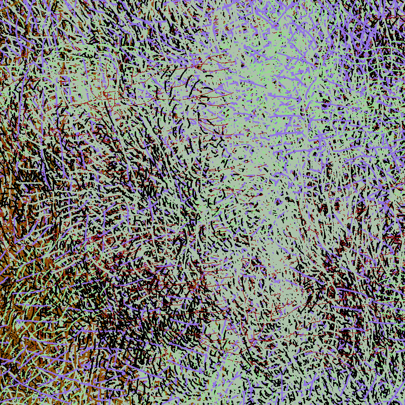 a bird worked on my painting #47 static token preview