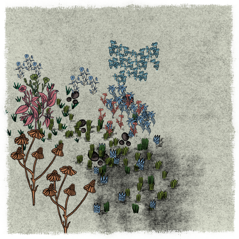 Gardens #165 static NFT preview