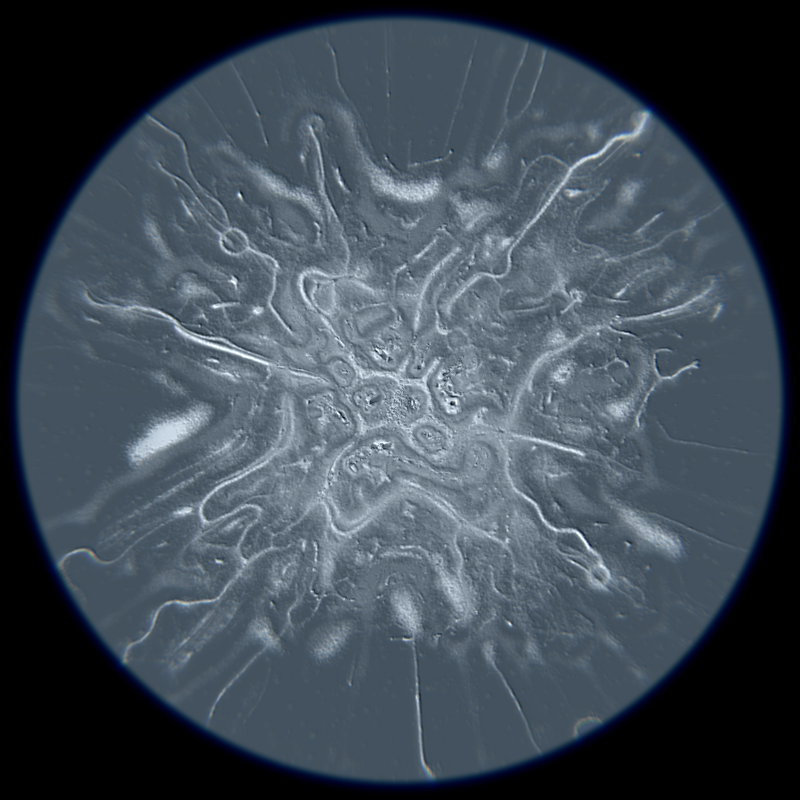 Ethereal Microcosm #5 static NFT preview