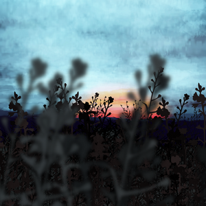 Walk in the field project preview