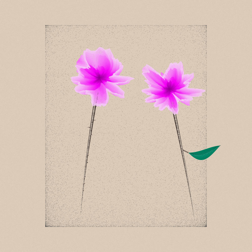 Magnolia #72 static NFT preview