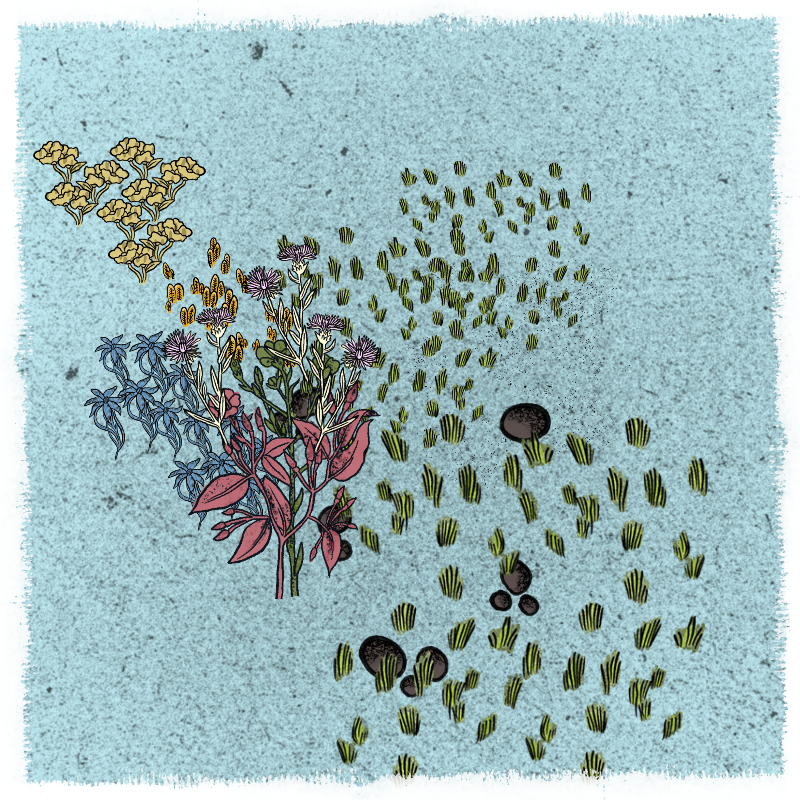 Gardens #134 static NFT preview