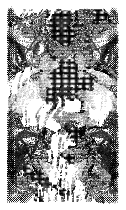 Leviathan #116 static NFT preview