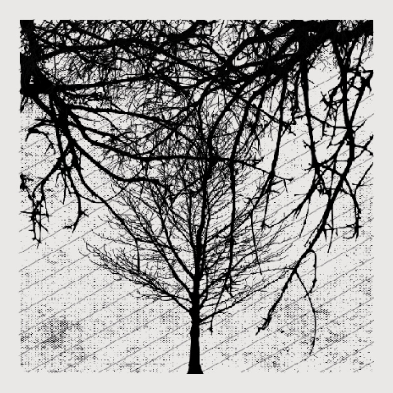 Forest of Shadows #70 static NFT preview