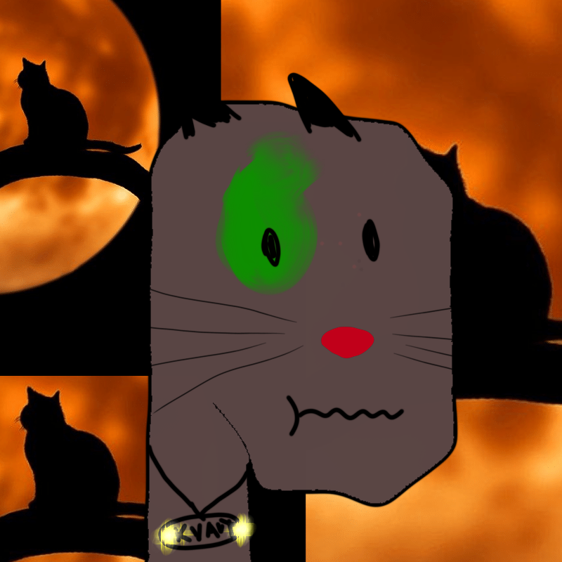 hi CAT lucas #30 static NFT preview