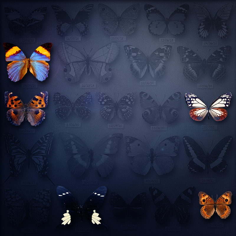 Save Butterfly World #39 static token preview