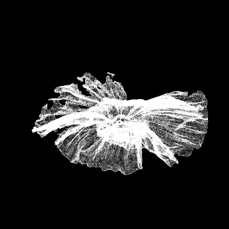 White Poppy 30 #160 static token preview