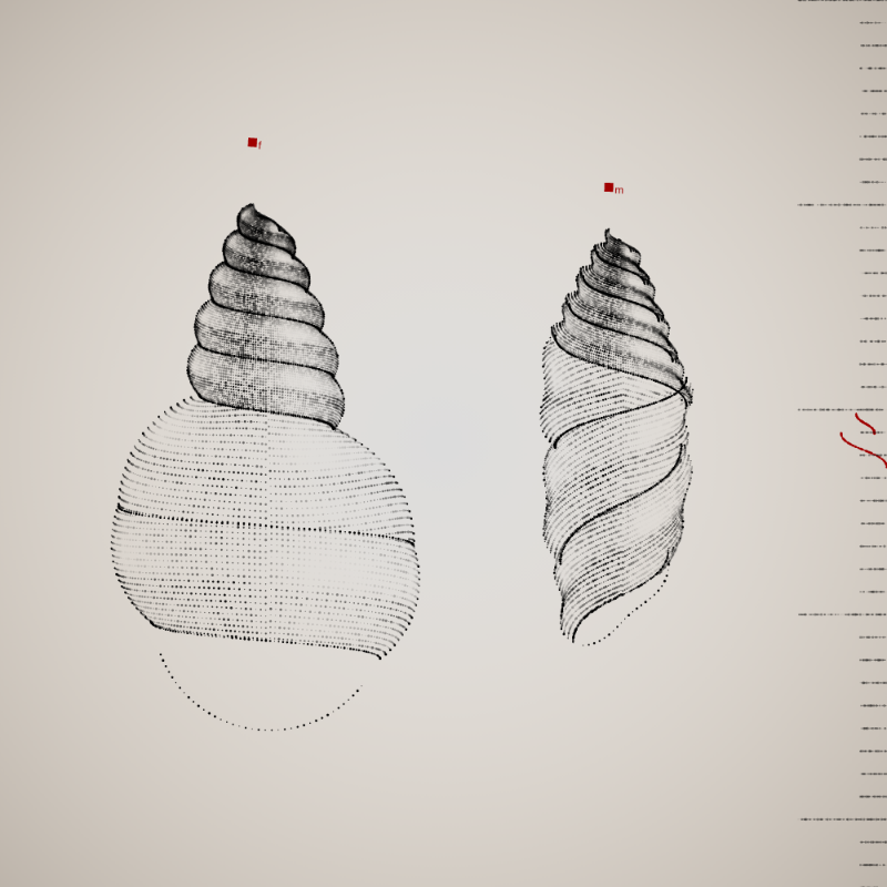 Two Specimen #101 static token preview