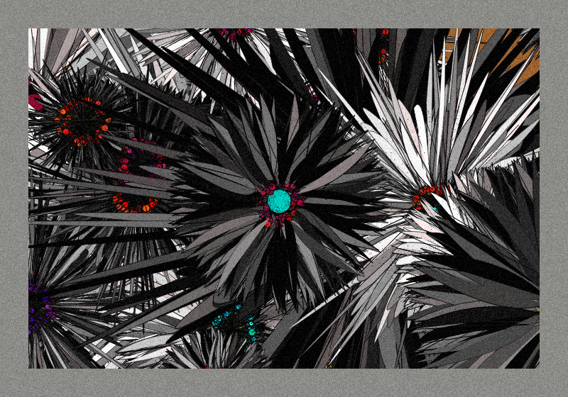 Love & Wild #173 static token preview