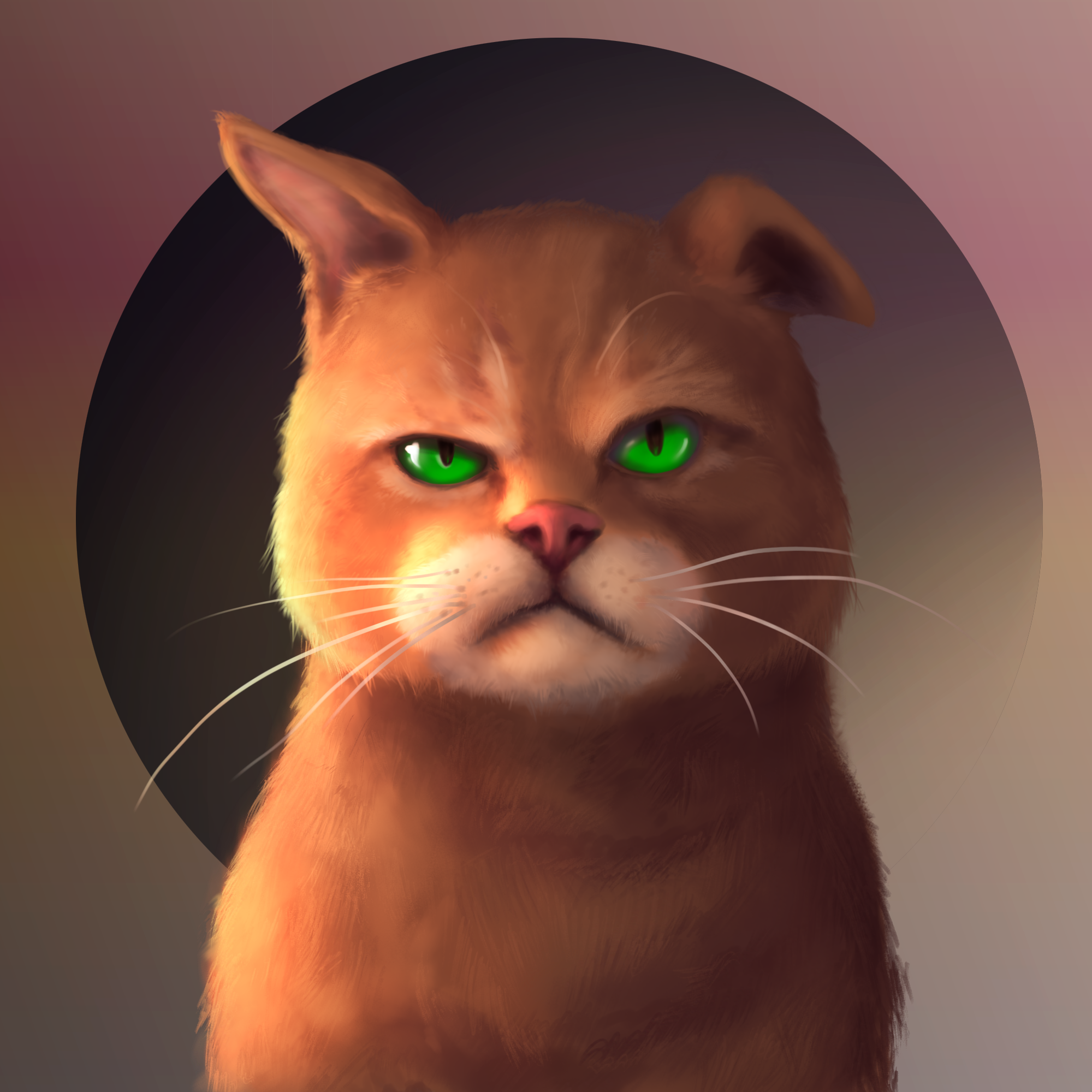 Gangsta Cat #31 static NFT preview