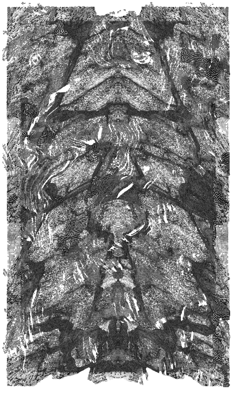 Leviathan #32 static NFT preview