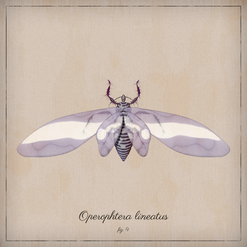 ProcGen Entomology #122 static token preview