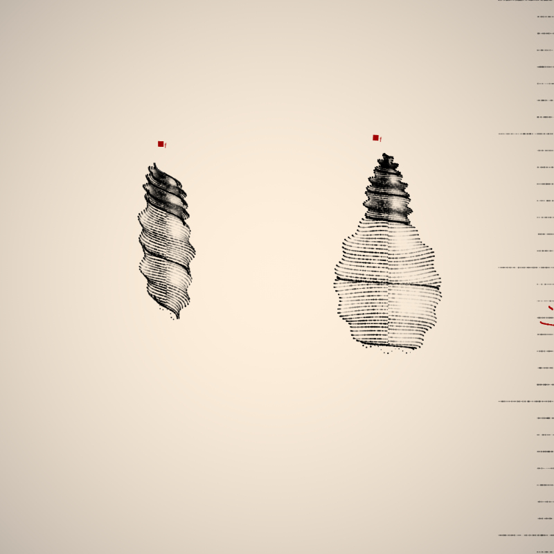 Two Specimen #290 static NFT preview